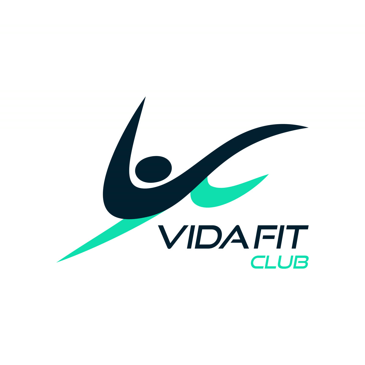 Logotipo do Vida Fit Club em azul-escuro e verde sobre fundo branco.